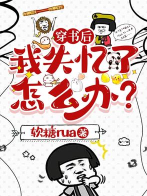 What should I do if I lose my memory after transmigrating into a book?